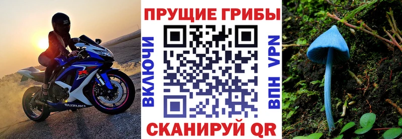 blacksprut ТОР  Заволжье  Галлюциногенные грибы Psilocybe 