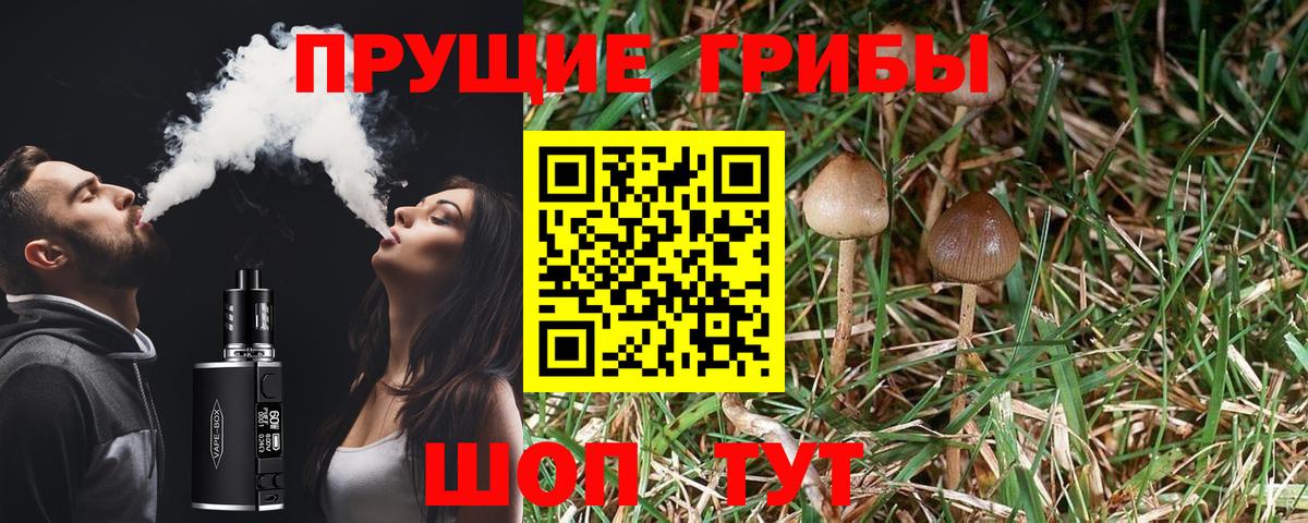 Заволжье  цена наркотик  Вход с VPN  Псилоцибиновые грибы прущие грибы  Галлюциногенные грибы MAGIC MUSHROOMS 